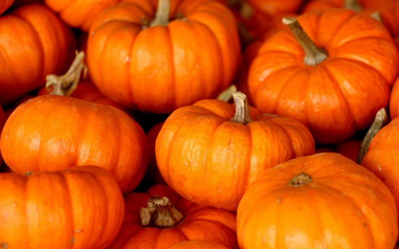 Kh&aacute;m ph&aacute; bộ từ vựng tiếng Anh chủ đề Halloween [2022] 2