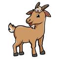 goat - con dê