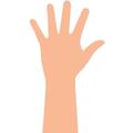 hand - tay