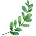 từ vựng tiếng Anh lớp 1