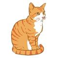 Cat - Con mèo