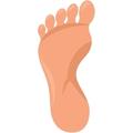 foot - bàn chân'